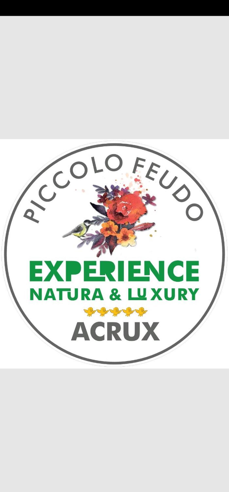 Piccolo Feudo Green Resort (Adults Only) Viterbo Room photo