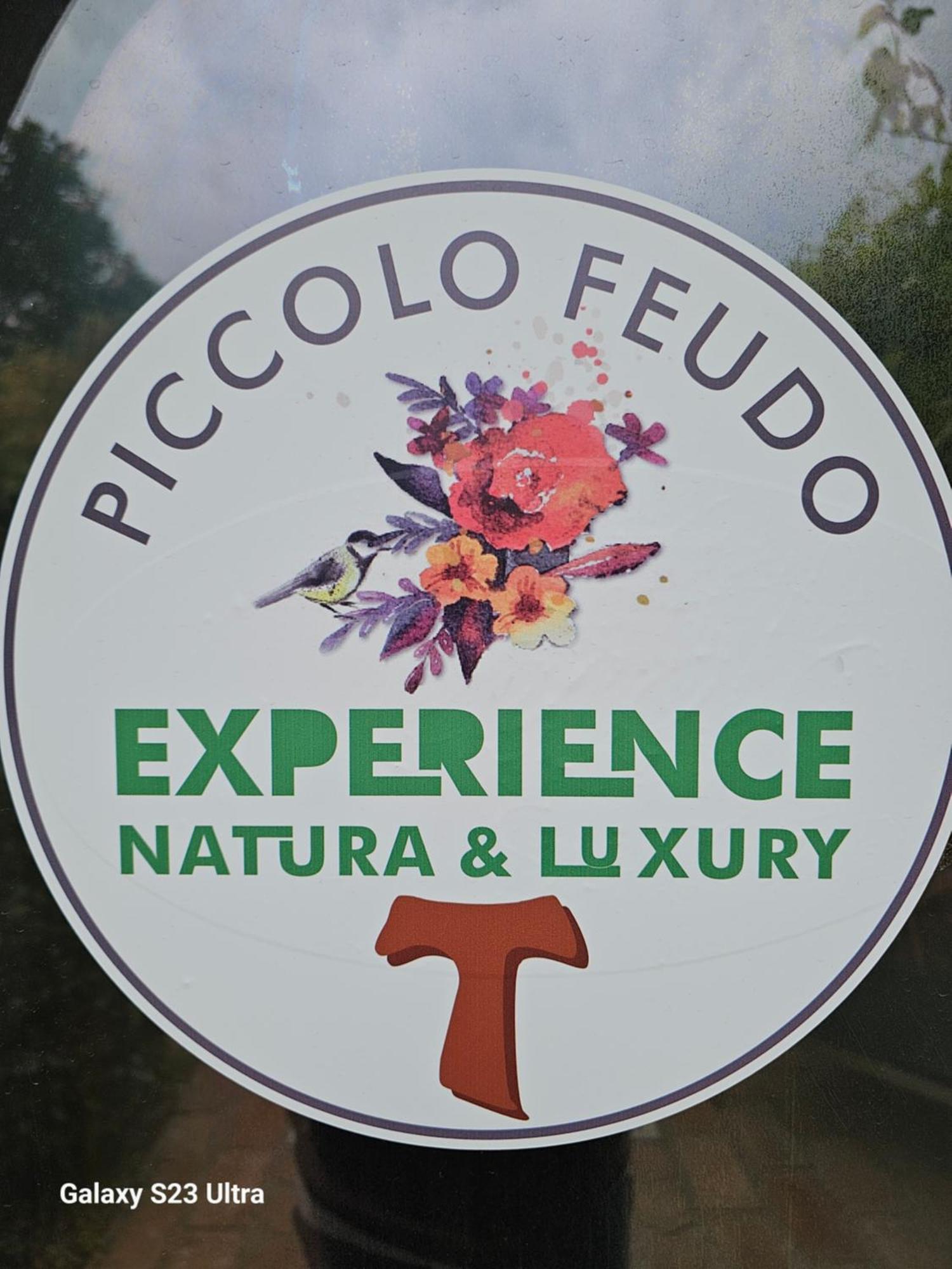 Piccolo Feudo Green Resort (Adults Only) Viterbo Room photo